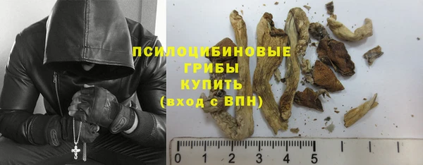 а пвп мука Армянск