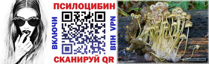 Псилоцибиновые грибы GOLDEN TEACHER  Суворов 