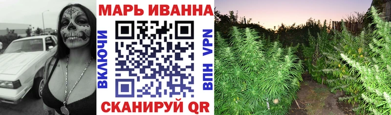 МАРИХУАНА семена  Суворов 